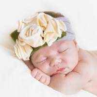 Lemon Cream Baby Girl Soft Flower Headband (American Made)