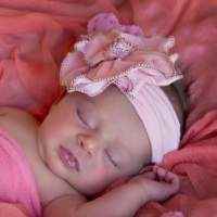 Strawberry Cupcake Pink Flower Baby Girl Headband (American Made)